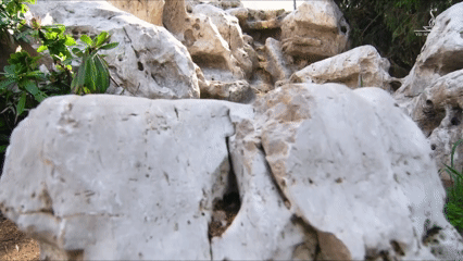 Stones in a garden composition