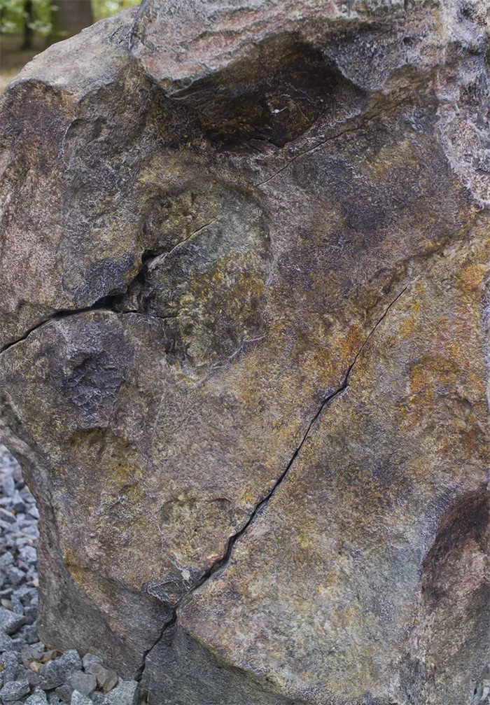 Close-up of a garden stone