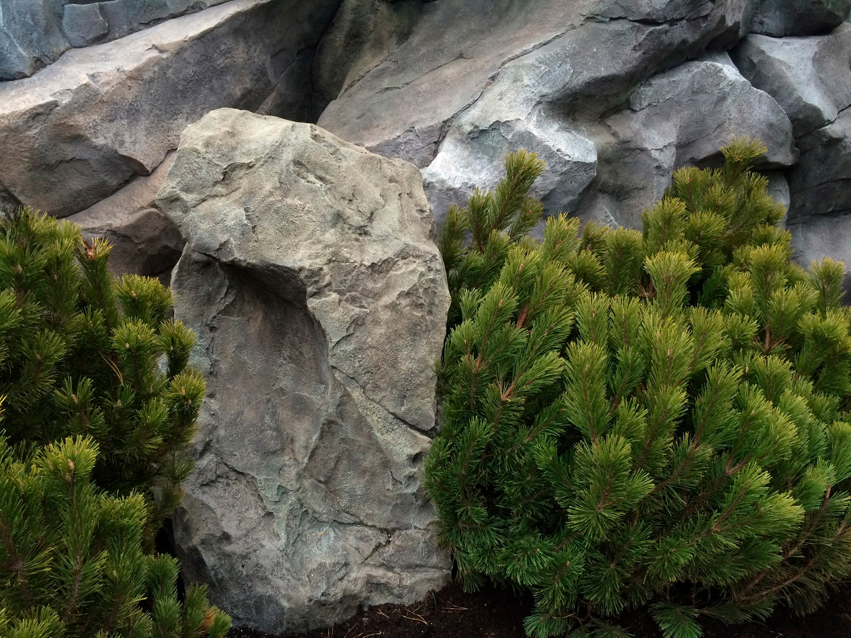 Stones as a garden focal point